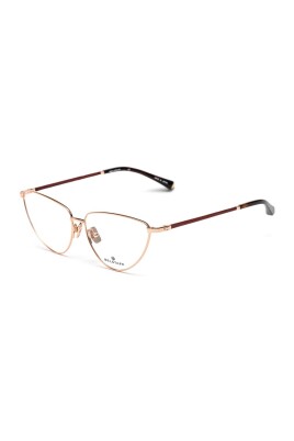 multicolor-titanium-frames