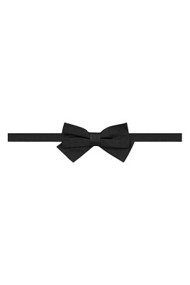 stylish-bow-tie-accessory