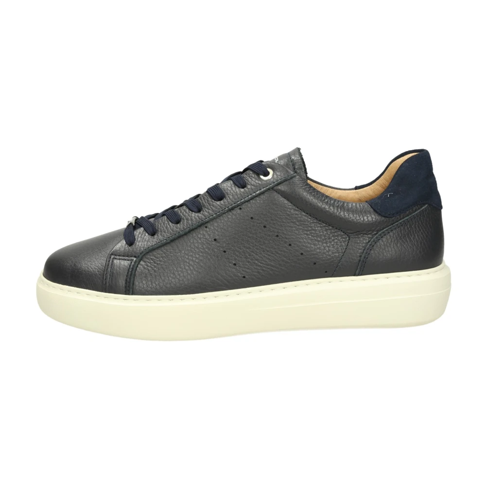 Ambitious Phoenix Low-Top Sneaker Heren Schoenen Blauw