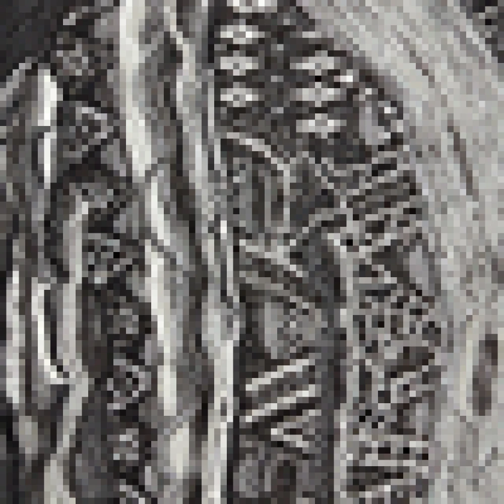 carlo colucci Gebreide Trui DelFarbro Black Heren