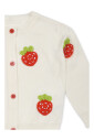 geborduurde-aardbeien-vest