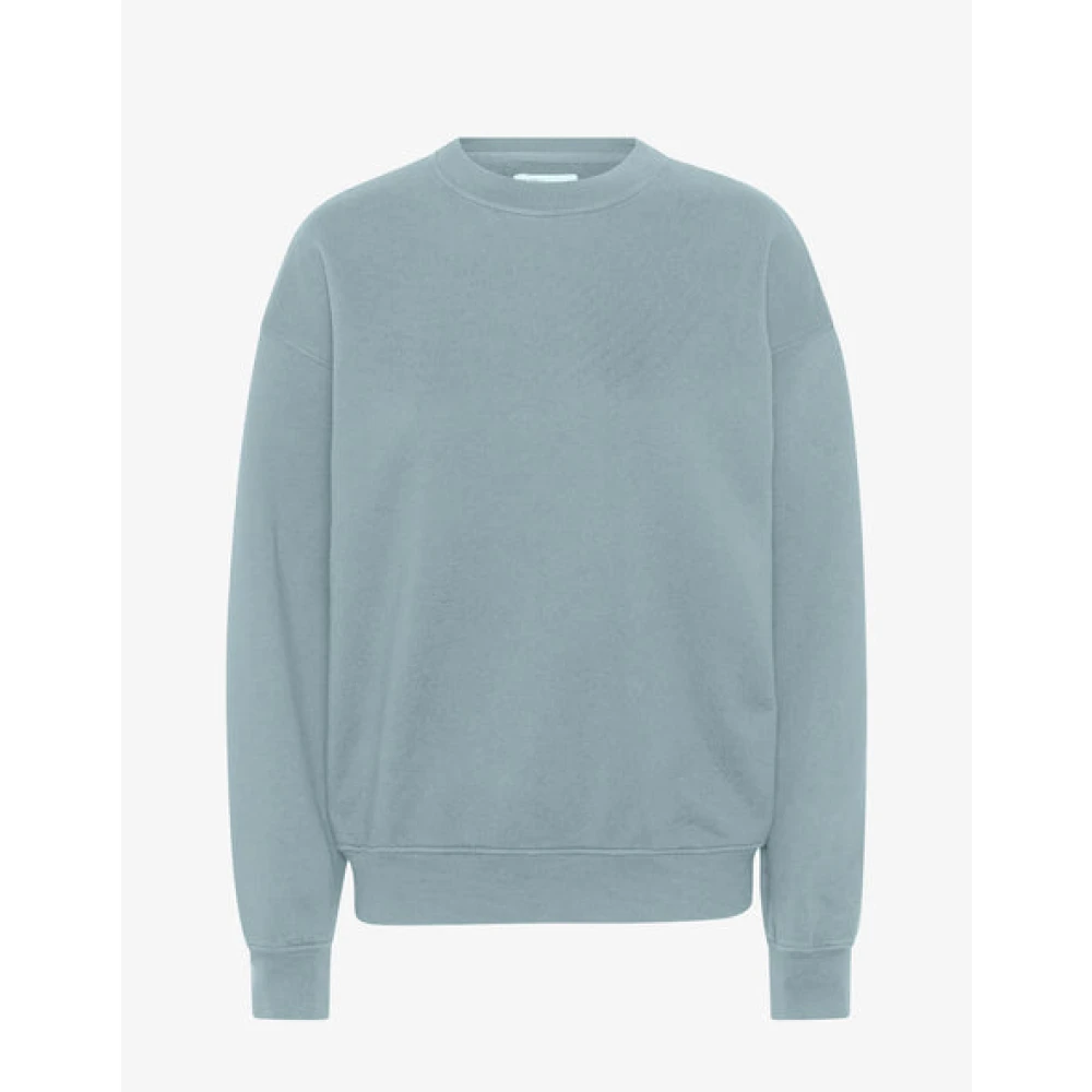 Sweatshirts & Hoodies > Sweatshirts - - Colorful Standard - Modalova