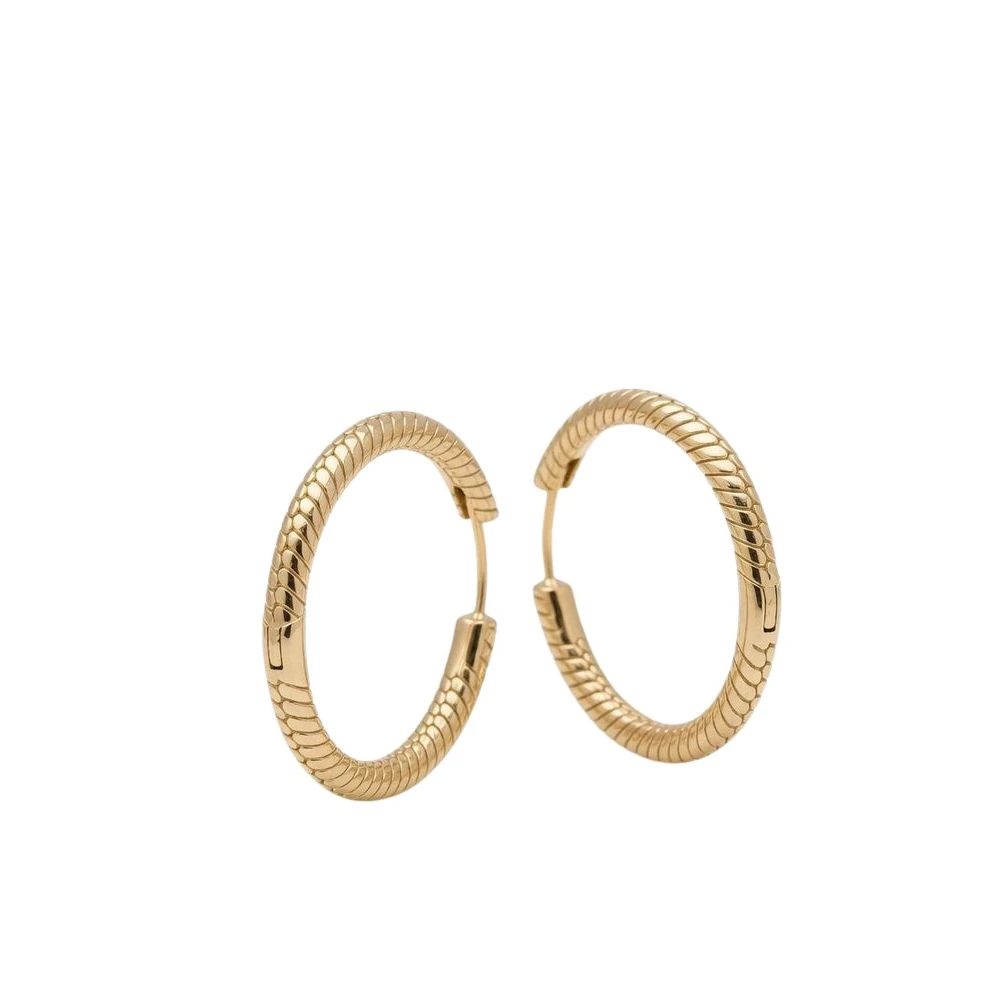 Pandora Moments Charm Hoop Earrings - Female - Earrings - Yellow - One Size - Accessories - Image 2