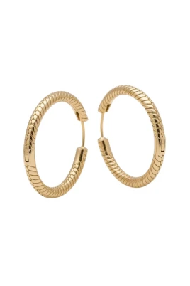 Moments Charm Hoop Earrings