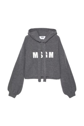 pull-gris-avec-capuche-et-logo