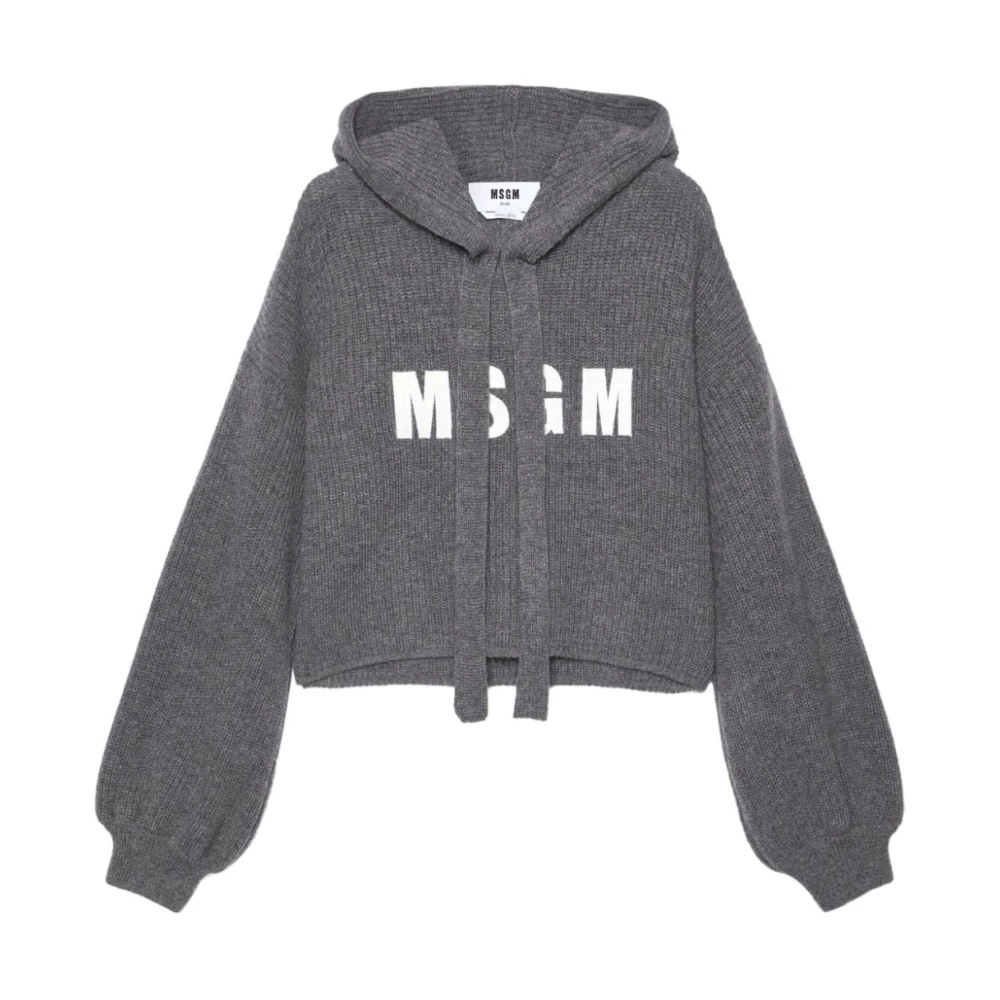 Msgm Grijze Sweater met Capuchon en Logo Gray Dames
