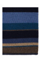 cache-cou-bleu-pour-femmes-a-rayures-multicolores