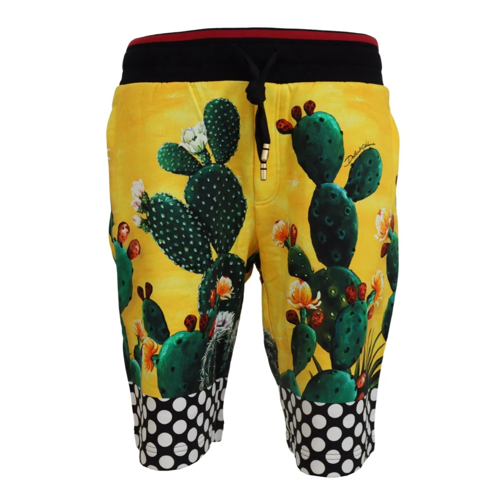 Dolce & Gabbana Uomo Multicolor Casual Shorts