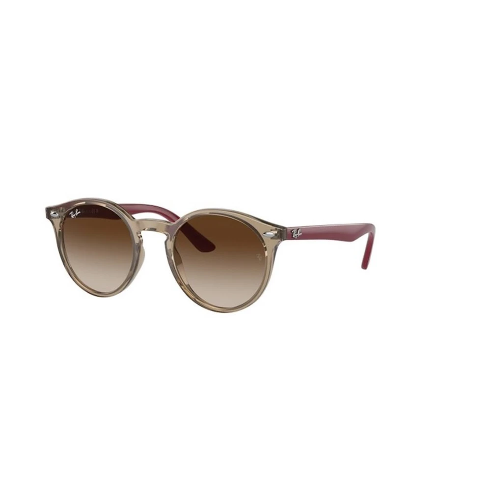 Ray-Ban Unisex Brown Rj9064s Sunglasses