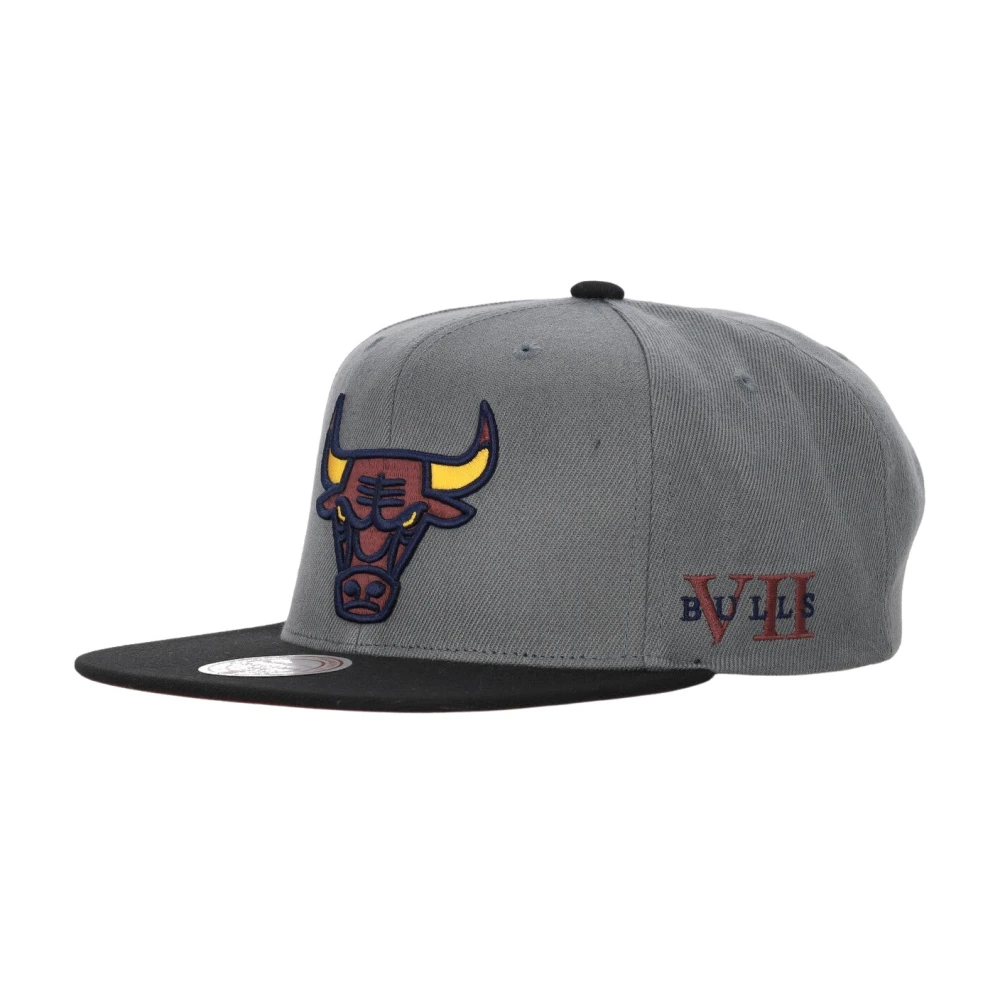 Mitchell & Ness Chicago Bulls Snapback Pet Grijs Zwart Gray Heren