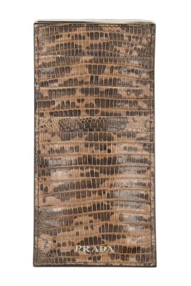vintage-card-holder-python-effect