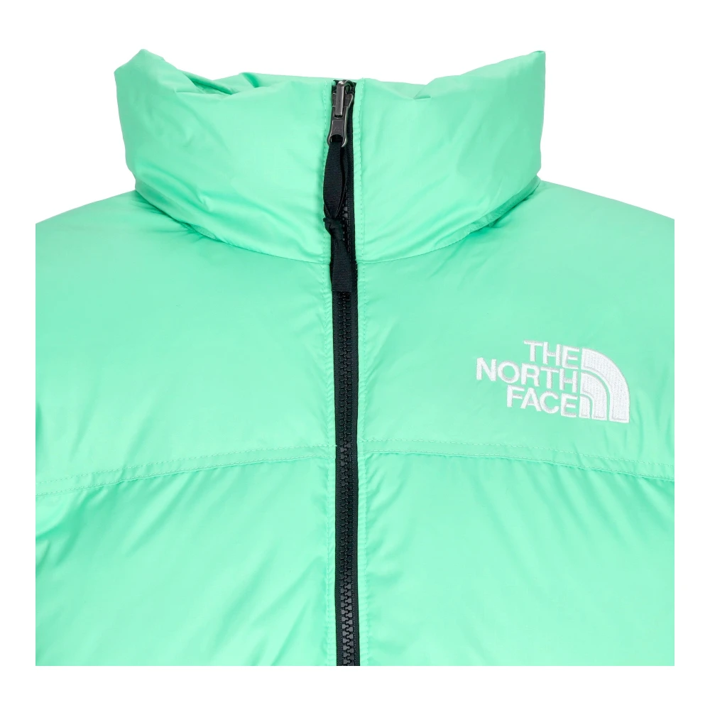 The North Face Retro Nuptse Donsjack Groen Green Heren