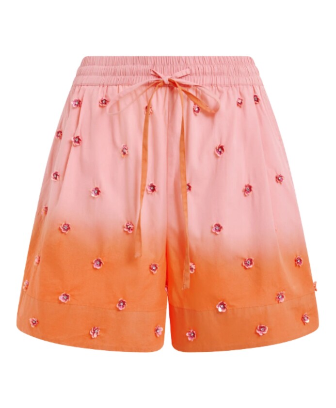 shorts-hichigan