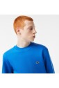 pull-basic
