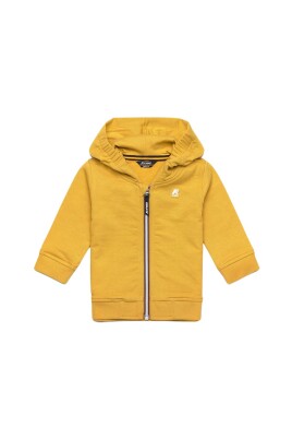 solid-color-hoodie-with-logo
