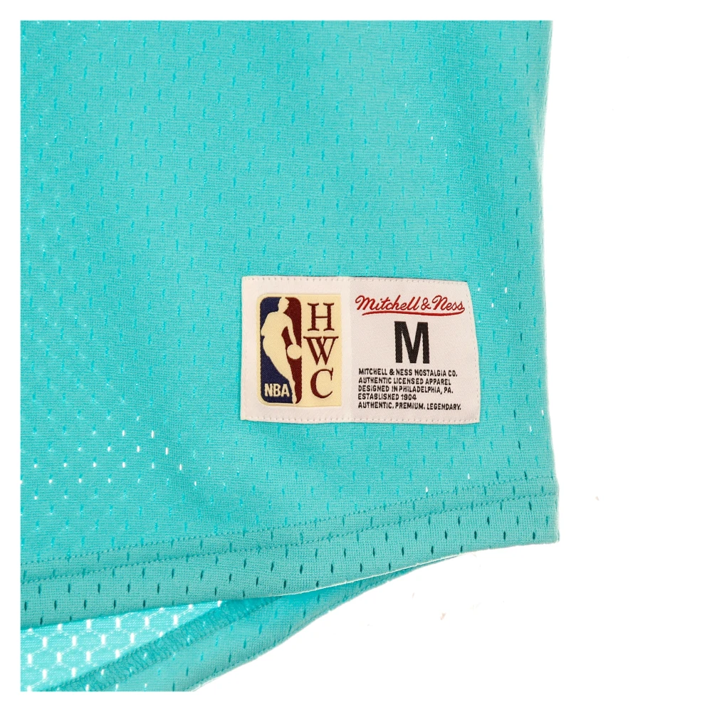 Mitchell & Ness Korte mouw NBA hoodie Blue Heren
