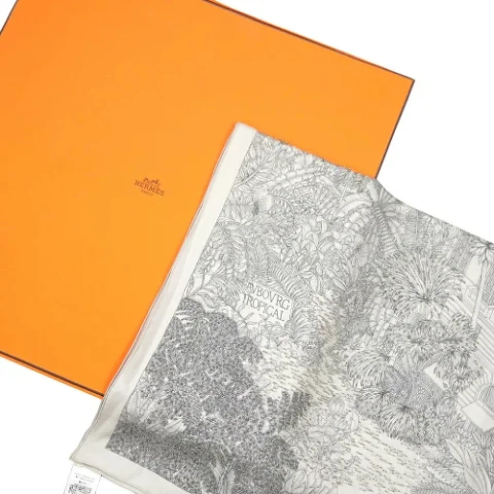 Hermès Vintage Pre-owned Silk scarves Gray Dames