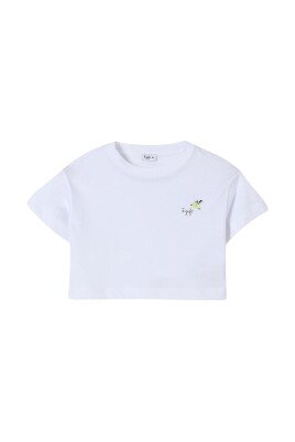 bird-embroidered-crop-top