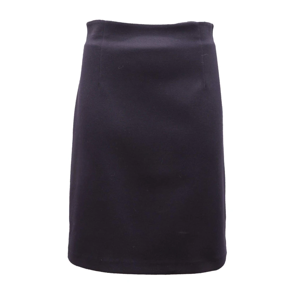 Max Mara Blue Pencil Skirts, Female, S, 57760429600 Pencil Skirt