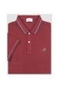 stylish-t-shirts-and-polos-collection
