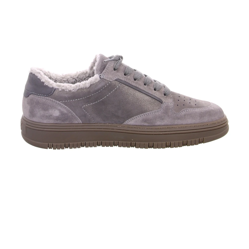 Paul Sneakers Dames Schoenen Grijs