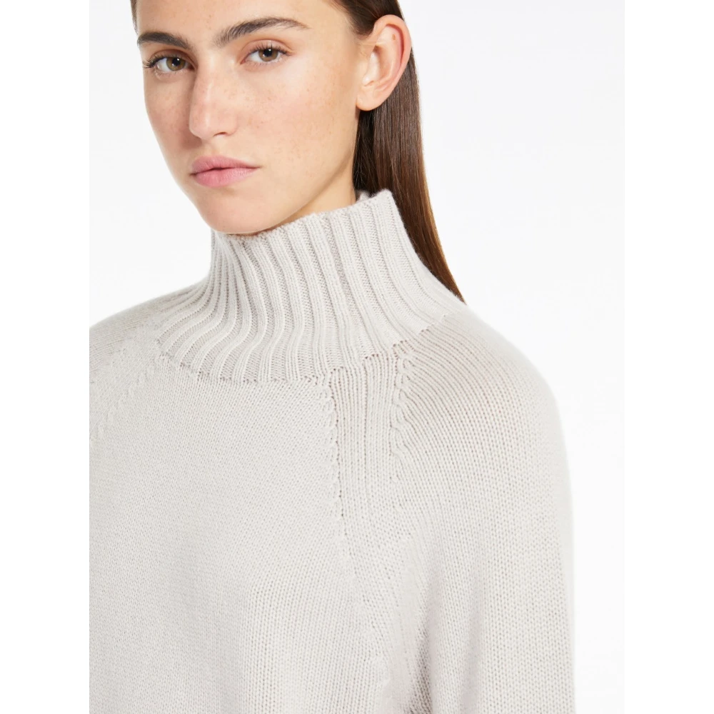 Max Mara Beige Raglan Hoge Hals Sweater Beige Dames