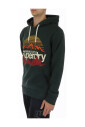 sweat-a-capuche-imprime-montagne-vert