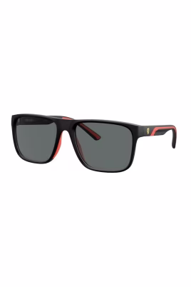 fz6002u-sunglasses