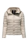 bright-nylon-hooded-jacket-with-synthetic-padding