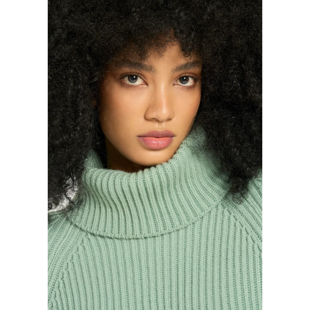 Vicario Cinque Geribbelde hoognek wollen trui Green Dames