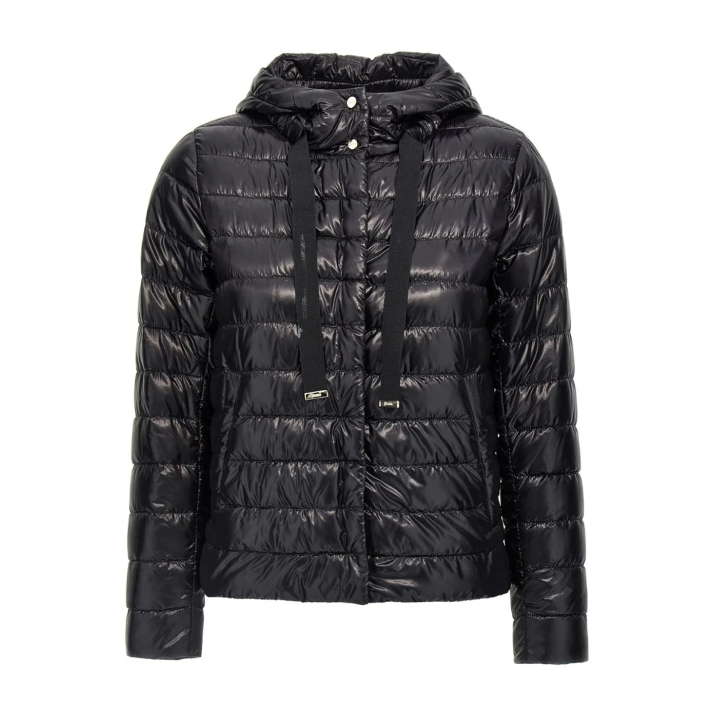 Jackets > Winter Jackets - - Herno - Modalova