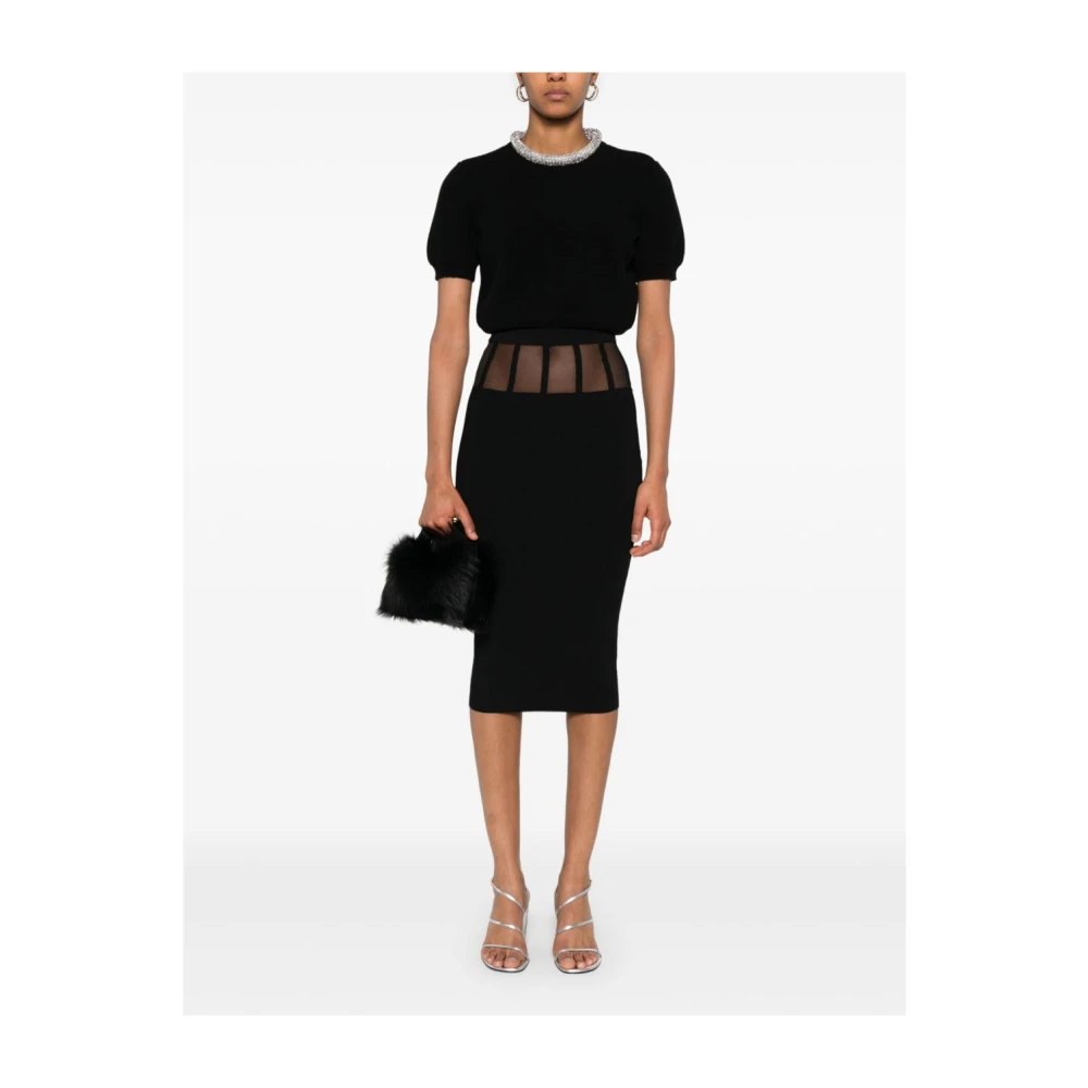 Elisabetta Franchi Zwarte Rok met Doorzichtige Panelen Black Dames