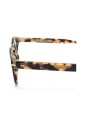 cgop1356-03-optical-frame