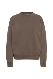 Sweatshirt mit Rundhalsausschnitt Colorful Standard Organic oversized cedar brown