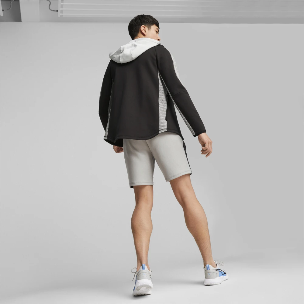 Puma Evostripe Full-zip Hoodie Gray Heren