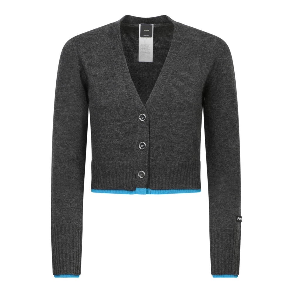 Pinko Grijze Trui Aw24 Elegante Stijl Gray Dames