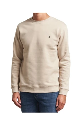 Felpa girocollo regular in cotone