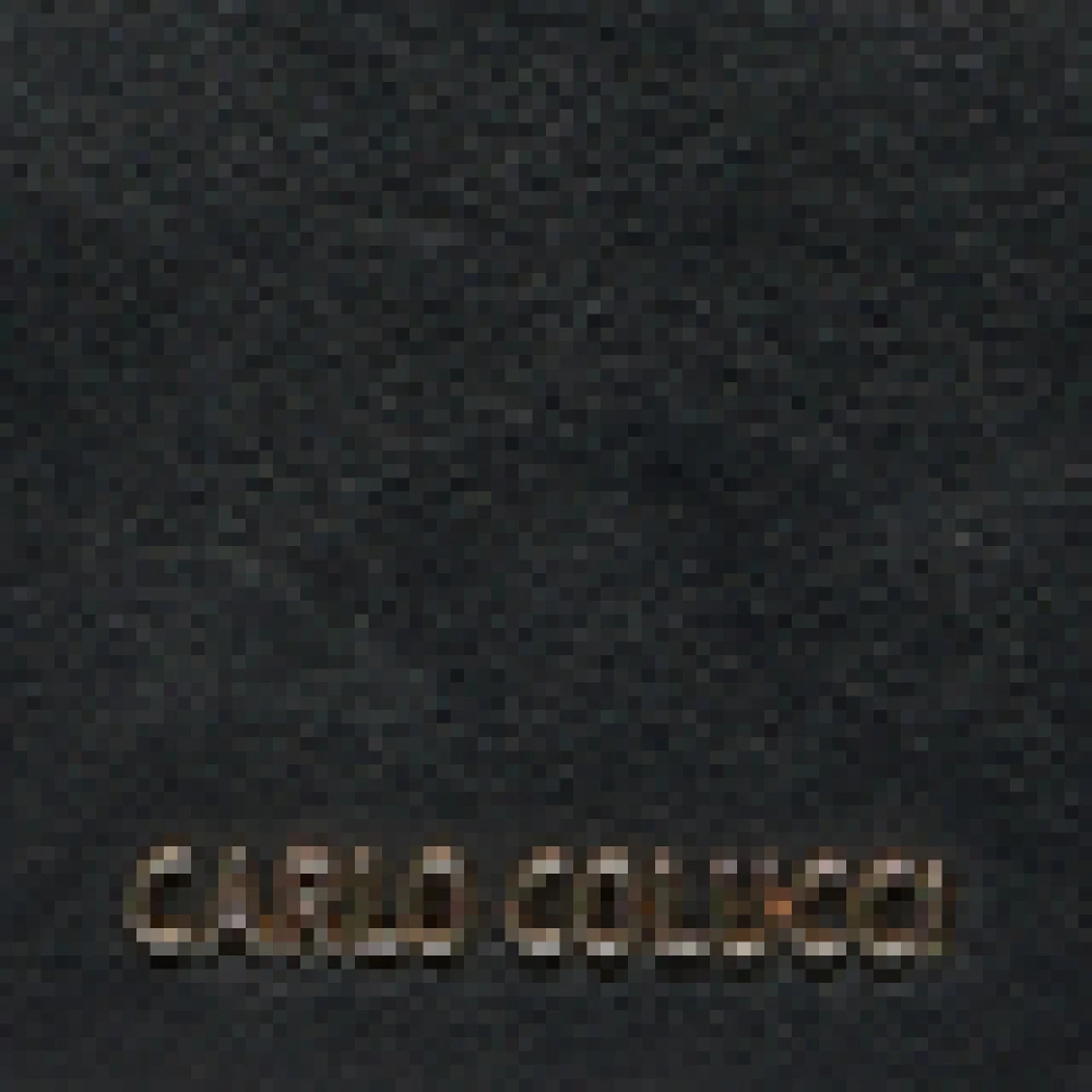 carlo colucci Stijlvolle Logoprint Handtas Black Dames
