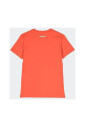 printed-crew-neck-t-shirt
