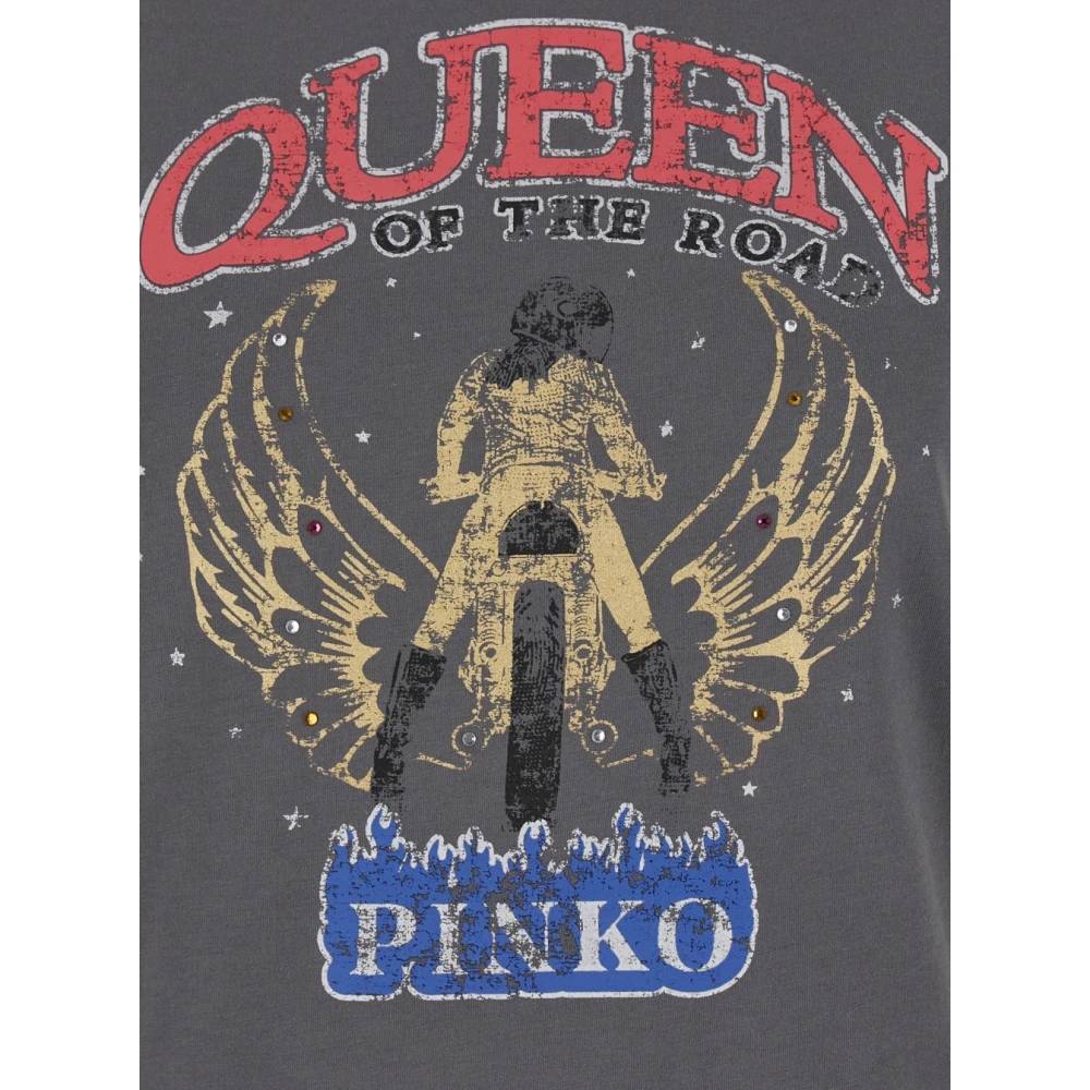 pinko Grijze Marrakech T-shirt Jersey Gray Dames