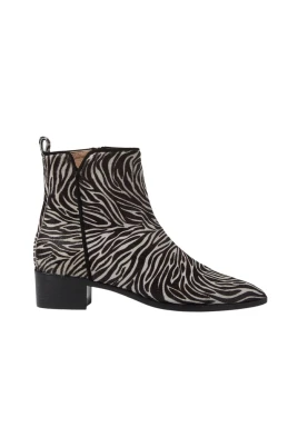 Alba Zebra Pony