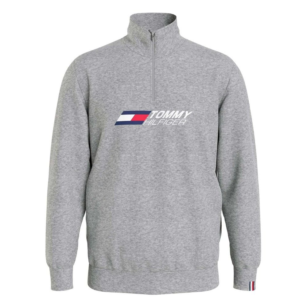 Tommy Hilfiger Essential Hoodie Gray Heren