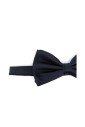 papillon-en-soie-bleue-clasp