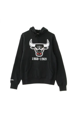 NBA Team Logo Hoodie