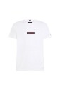stylish-t-shirts-and-polos-collection