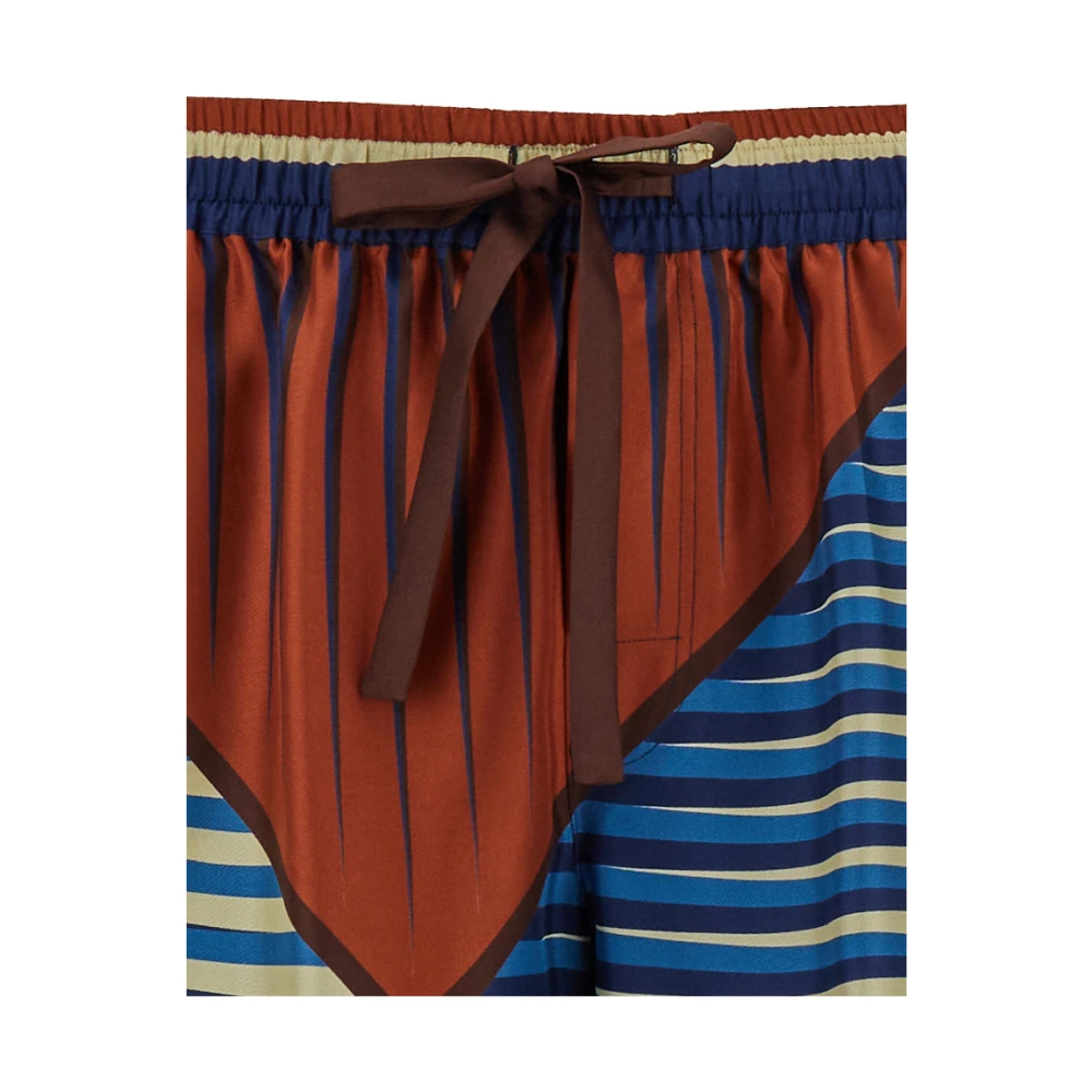 Dolce & Gabbana Zijden Bermuda Shorts Multikleur Multicolor Heren