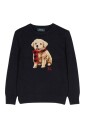 pulls-bleus