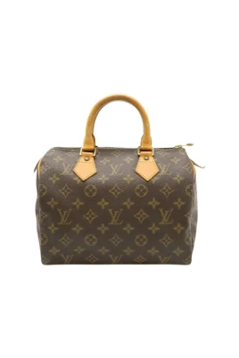 Pre-owned Speedy 25 Monogram Handbag
