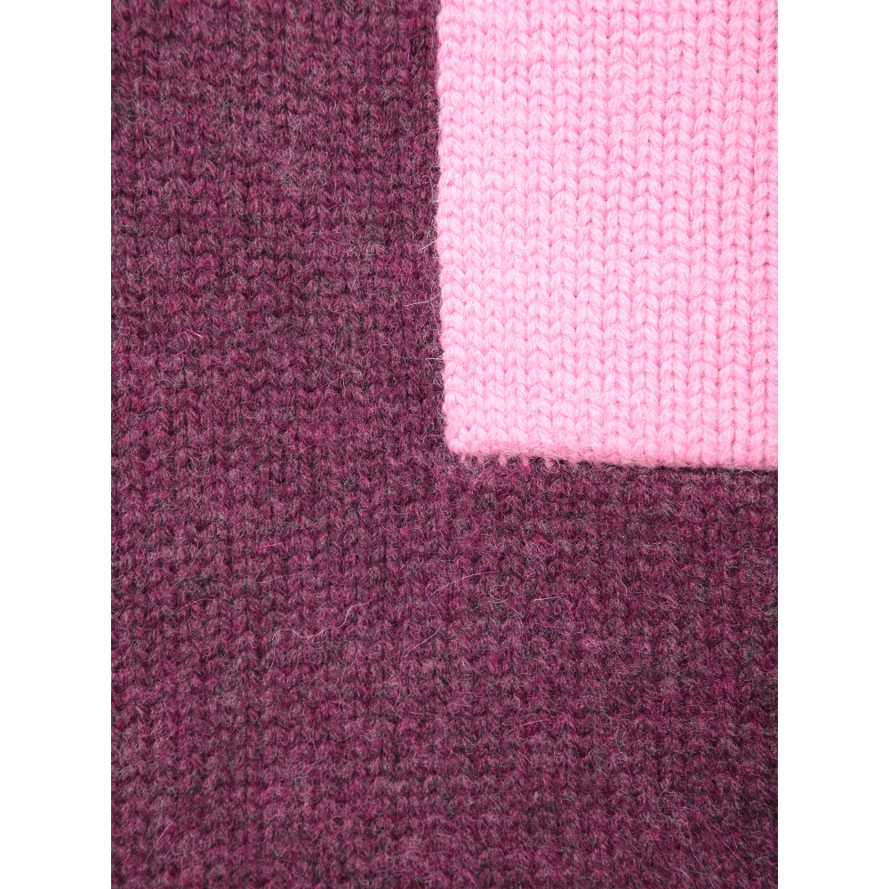 JW Anderson Paarse Trui met Roze Zak Purple Dames