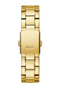 or-acier-inoxydable-cadran-colore-montre
